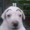 moonlord_nose