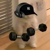 agilworkout
