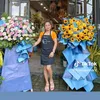 hoa.ti.qunh.anh