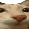 silly_little_lad_