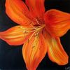 tigerlily741