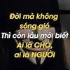 luan.nguyenvan6