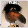 skeb_ober