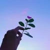 purple_sky_05