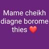 cheikh.diagne88