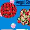 angelstrawberry___