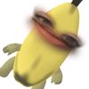 𝒫𝒾𝒶𝒶𝒶 🧬