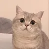thanhbomhanghp