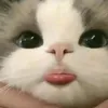 ct.vy.nek