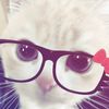 kepoooo_785