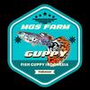 mgs_farmguppymakassar