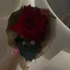 ramas.ali2002