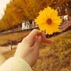 emhaysuyy112