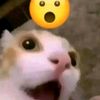 user201752659