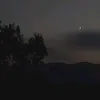 ahmadafern