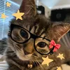 gatinhofofinho2.0