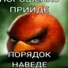 daygorlovoy