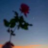 moonnnlight19