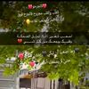 user2979073058862