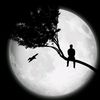 urr_omran