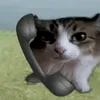silly_shenzo