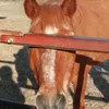 emely10873