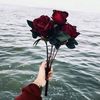 user407316703