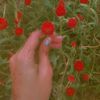 fari_hu_ywr040