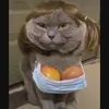 kartoffel1601