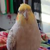 amy_bob.1