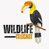 Wild Life telecast