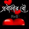 ribiahmed10