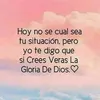 silvinarios73