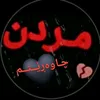 fars1212ff