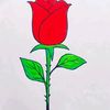 noar5892
