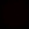 flori74252_