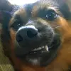 thaoles_thichcacchidep