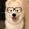 vcloav