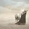 omadjon.axmedov