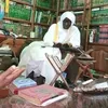 abdoulaye.sow810