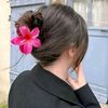 .wwwtiktok.comrita