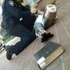 rigortkd
