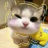 josh_shua_6996