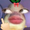 roblox_love67