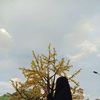 husna.aba.puasa