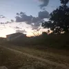 pinheirovsz