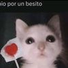 fs_rubi