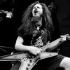 dimest.slash