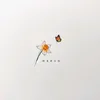 pieces0170
