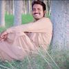 gul_wassan_111